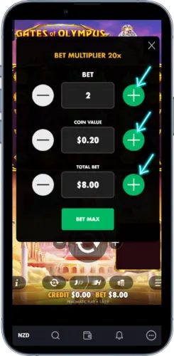 Bet settings panel showing coin value and total bet controls